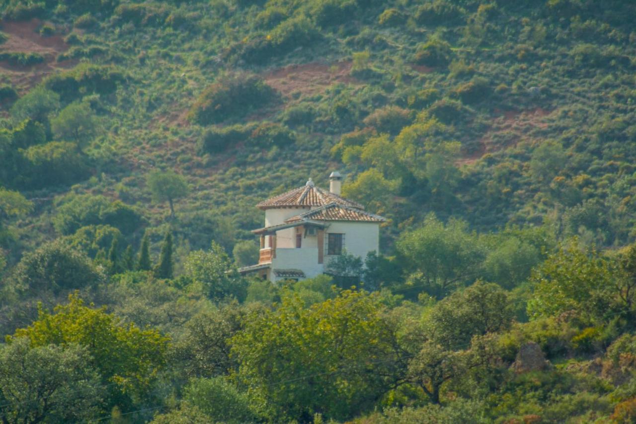 Villa La Torre Rocabella El Chorro Exterior photo